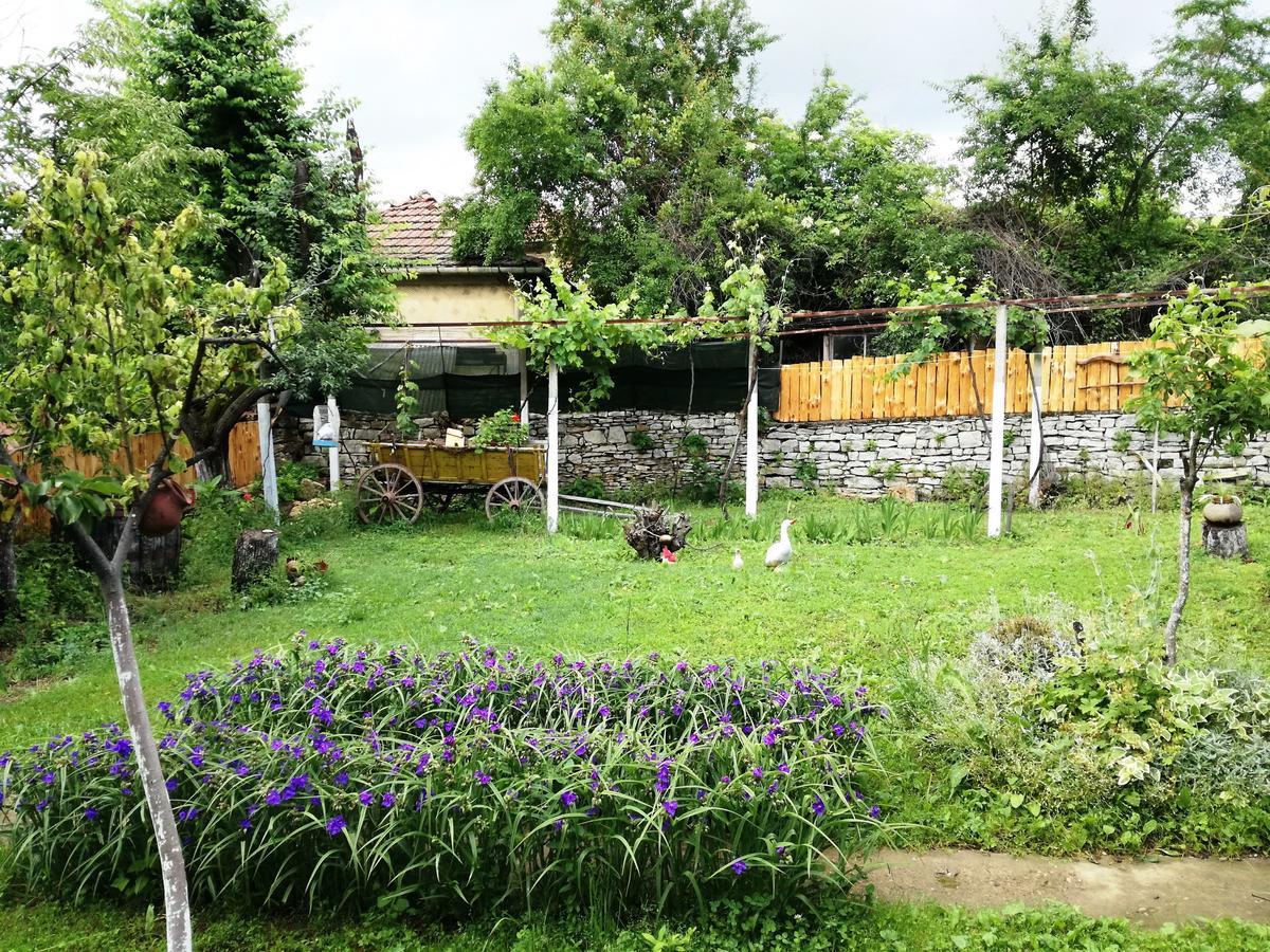 Divna Guest House Krushuna Bagian luar foto
