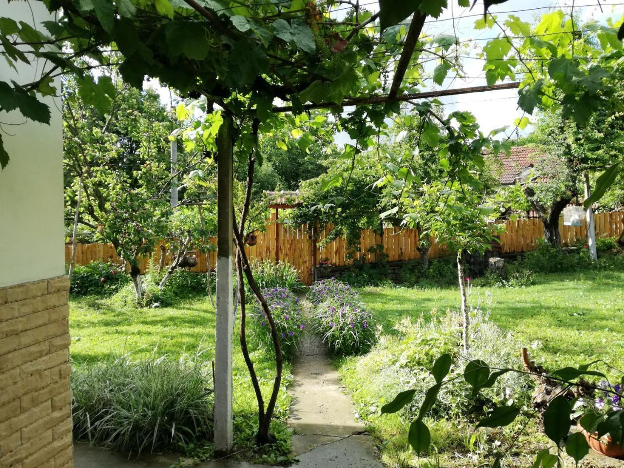 Divna Guest House Krushuna Bagian luar foto